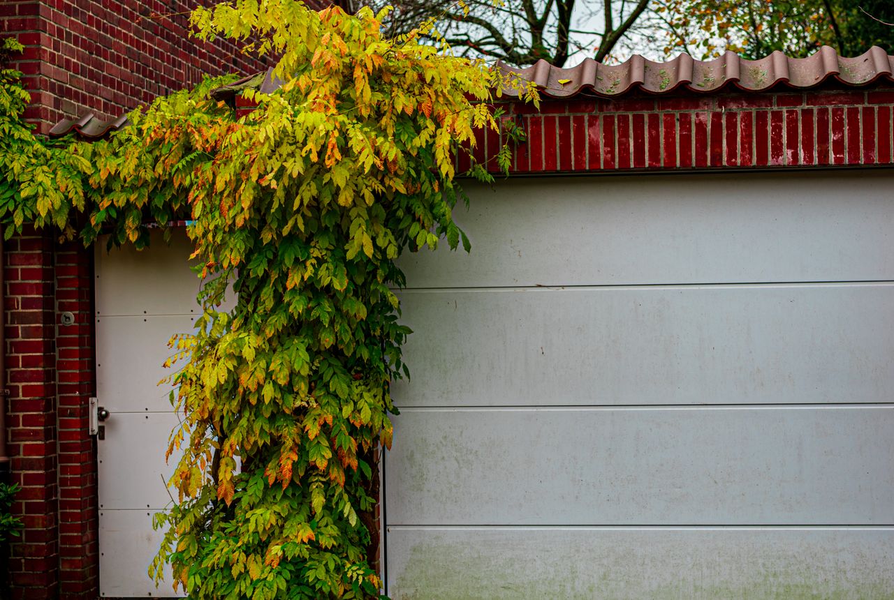 Garage door service in Canton, MI